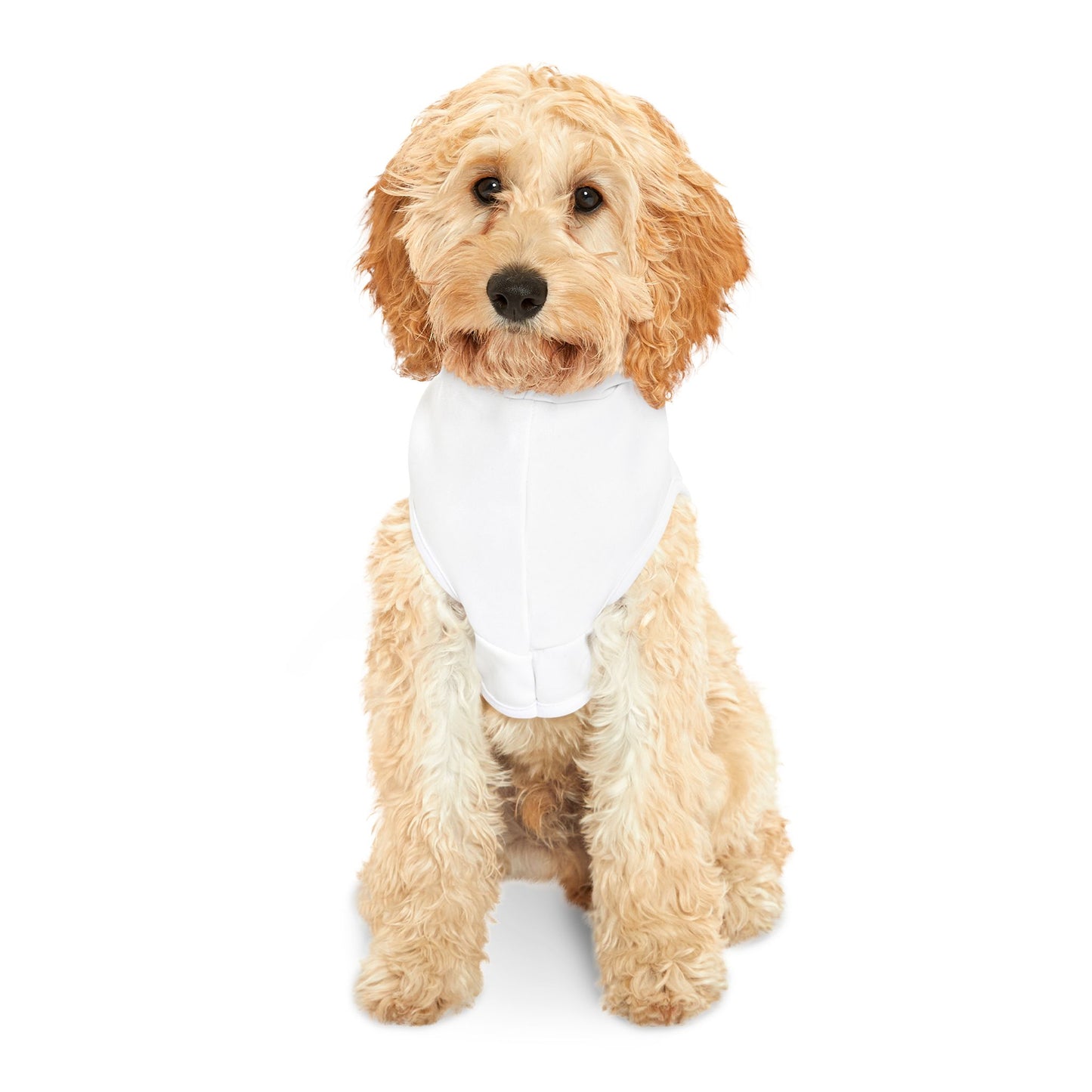 GOMB Pet Hoodie